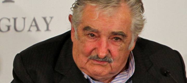 plo-polityk-marihuana-walka-o-marihuane