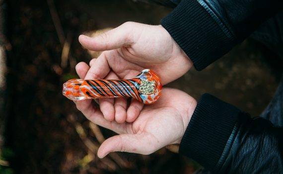 Kannabinoidy i ich efekty marihuana marihuana medycyna