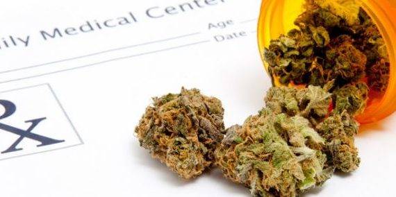 Marihuana thc cbd medycyna