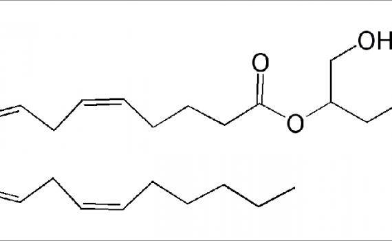 2 arachidonoylglycerol 2 ag endokannabinoidy ecs