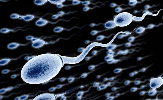 Plemnik sperma badania badanie