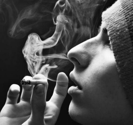 Palenie jointow palenie maeihuany