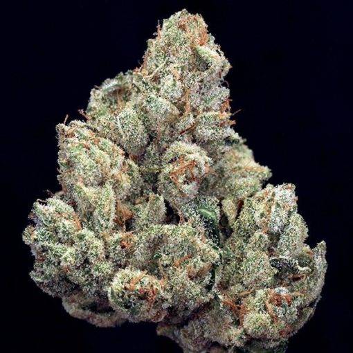 Suszone paki marihuany