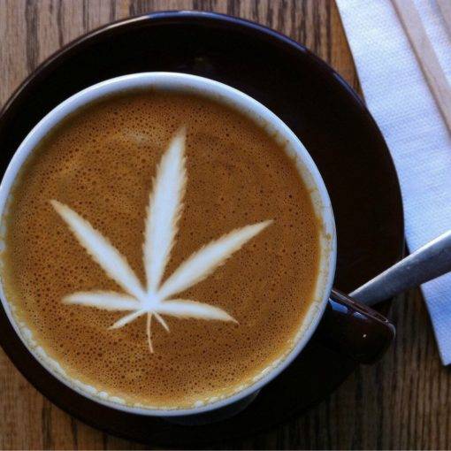 Kawa z marihuana kawa z nasionami marihuany