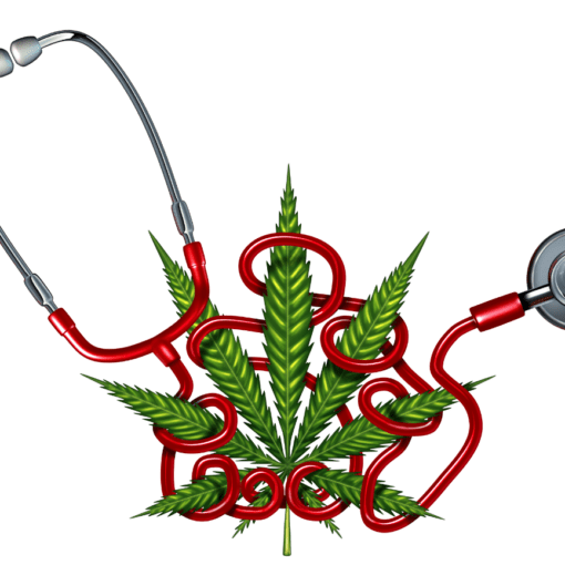 A marihuana jako potencjalne leczenie osteoporozy 23