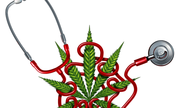 A marihuana jako potencjalne leczenie osteoporozy 23