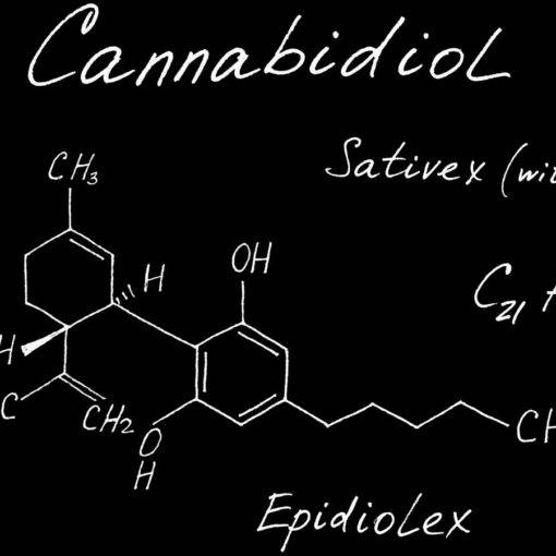A naukowcy z harvardu badaja marihuane2
