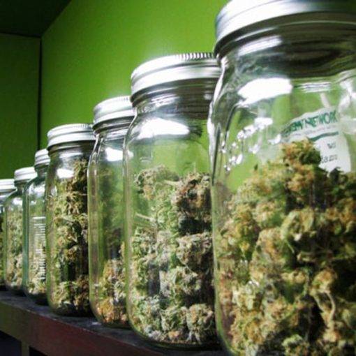 A proces konserwacji cannabis 324