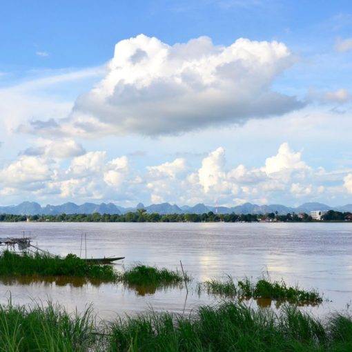 A jak uchronic uprawe przed deszczem 39