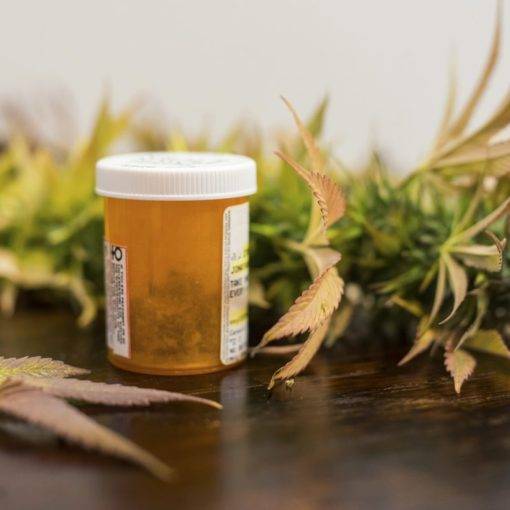 A sytuacja medycznych uzytkownikow marihuany 32