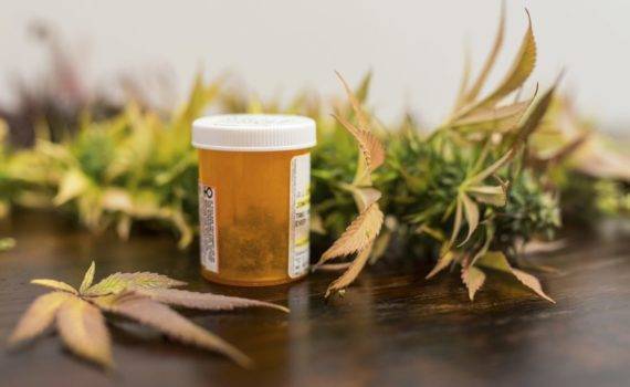 A sytuacja medycznych uzytkownikow marihuany 32