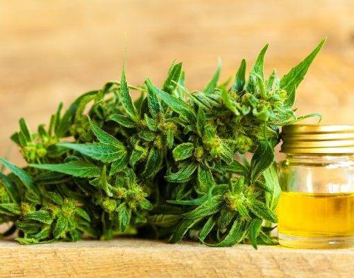 A zastosowania oleju 32