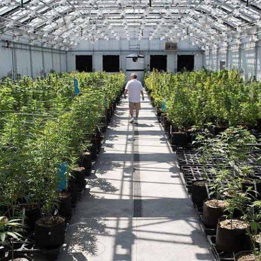 Agencja federalna prosi o pomoc