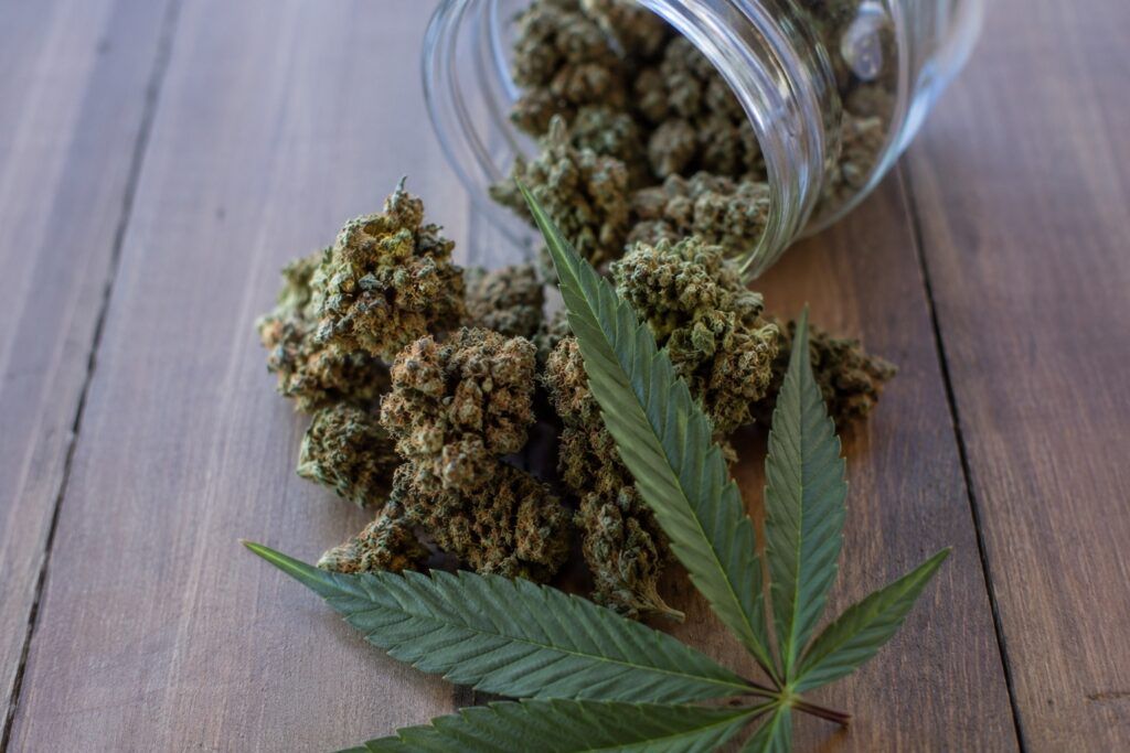 Jak działa thc