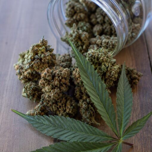 Jak działa thc