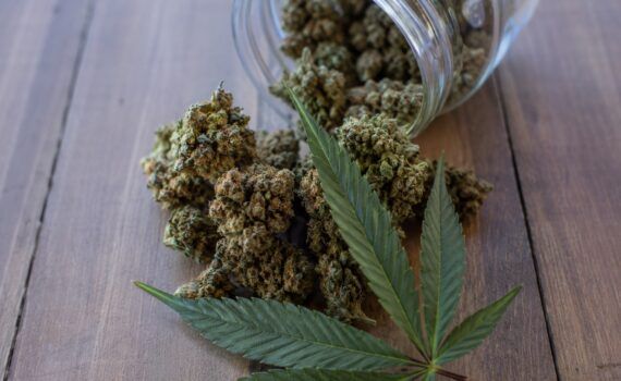 Jak działa thc