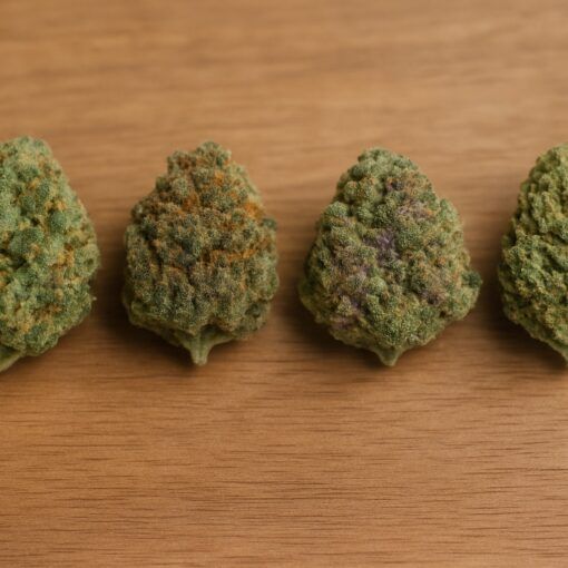 Jak powstaja odmiany marihuany