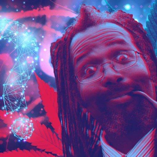 Kiedy nalezy zrobic przerwe od marihuany 3