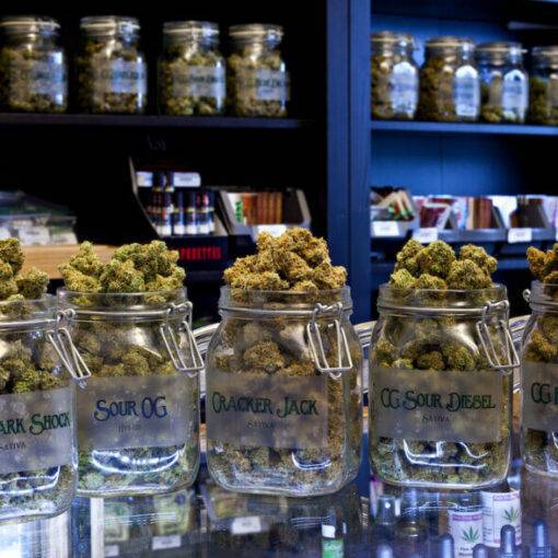 Marihuana terpeny pinen 2