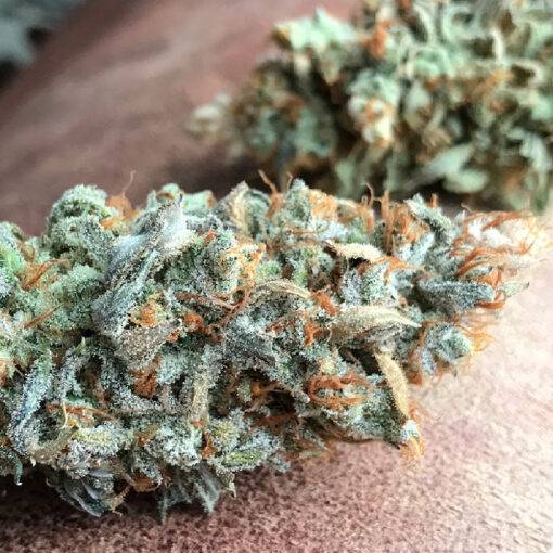 Odpowiednia wilgotnosc 0