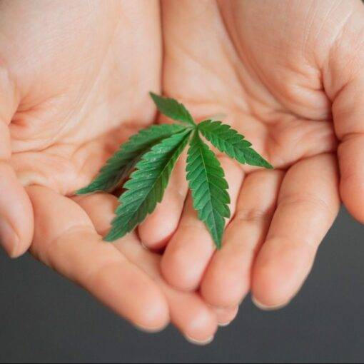 Produkt pielegnacyjny 3