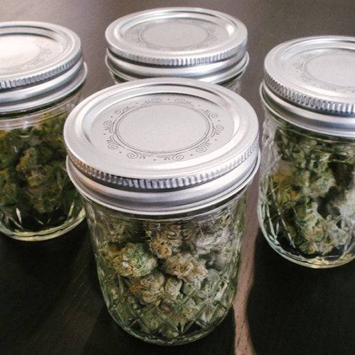 Publiczne poparcie dla marihuany rosnie 0