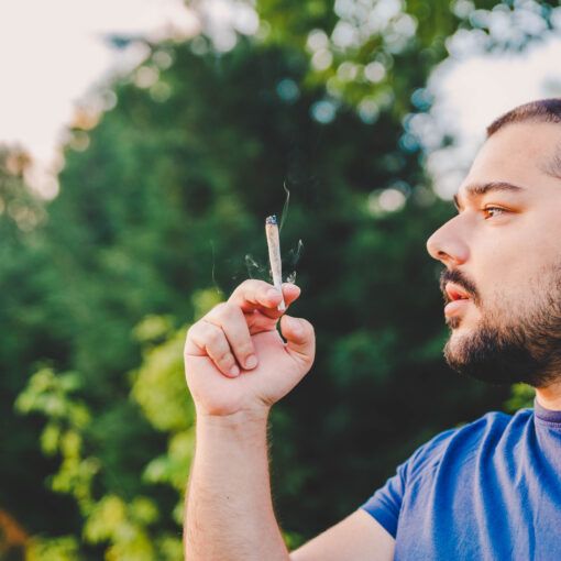 Więcej informacji na temat hydroponiki